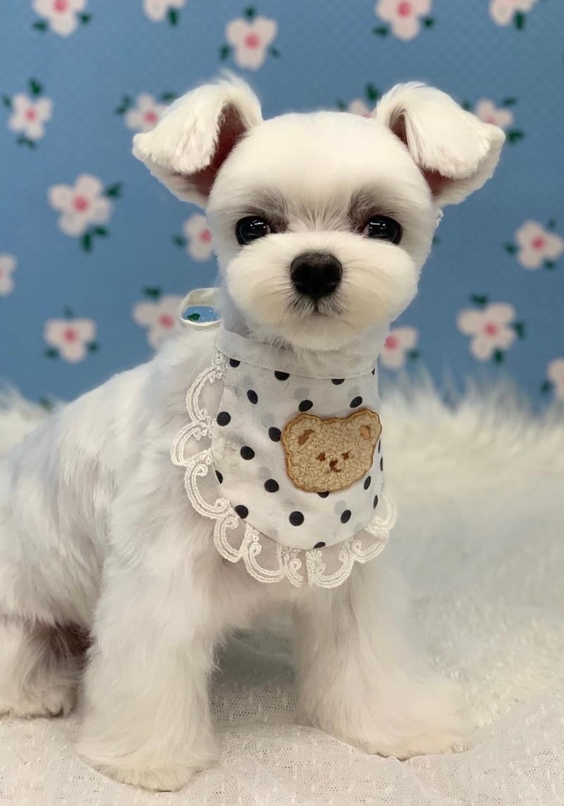 업체 정보 이미지 6