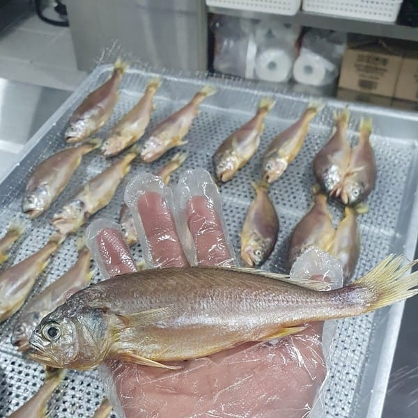 [전남 목포] 서준수산