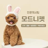 모드니펫 로고